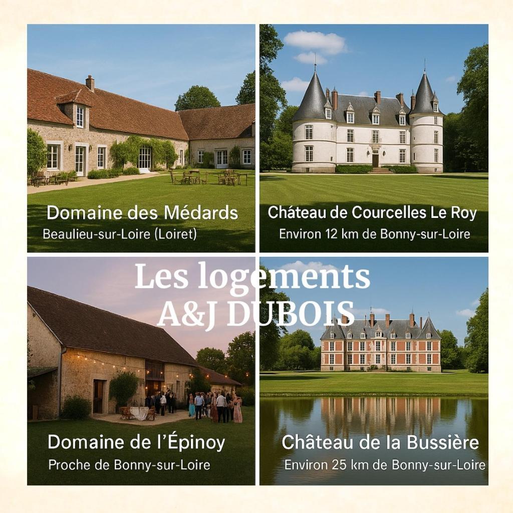 A&Jduplex - Bonny Sur Loire - Chateaux De Guedelon - Pont Canal 외부 사진